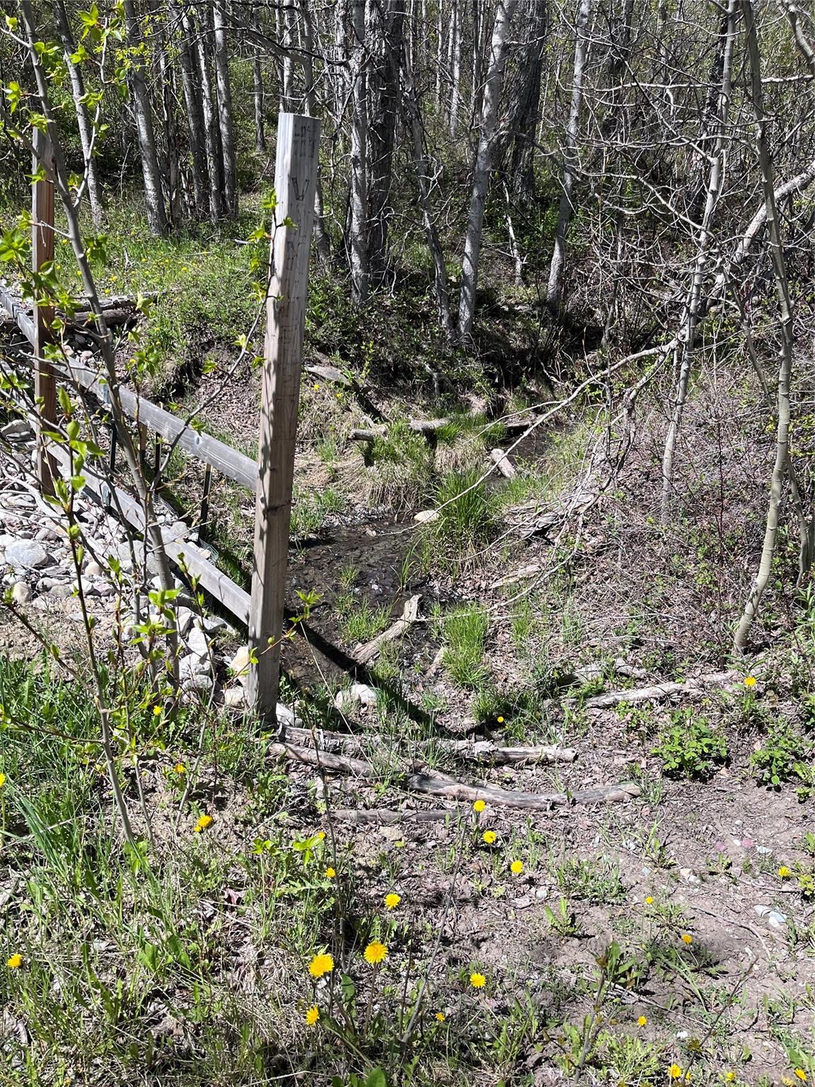 72 Skyline Lane Dye Tavary and Judge Real Estate